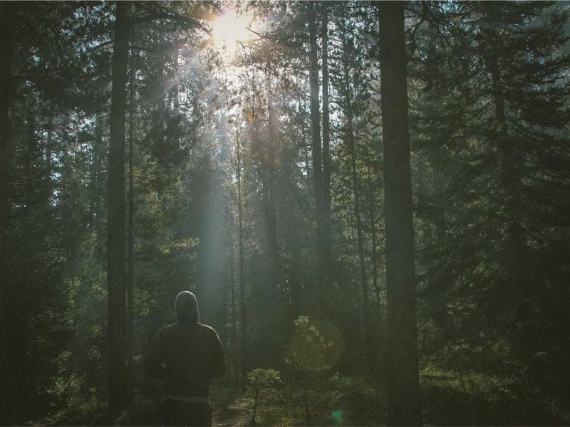 Documentary Cinematographer - Natural Light Specialist