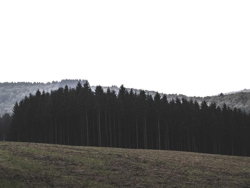Director of Photography - Narrative & Commercial